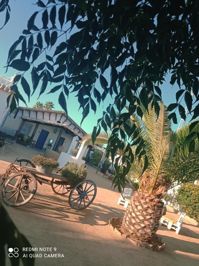 Alojamiento Rural "El Charco Del Sultan" Conil De La Frontera Buitenkant foto